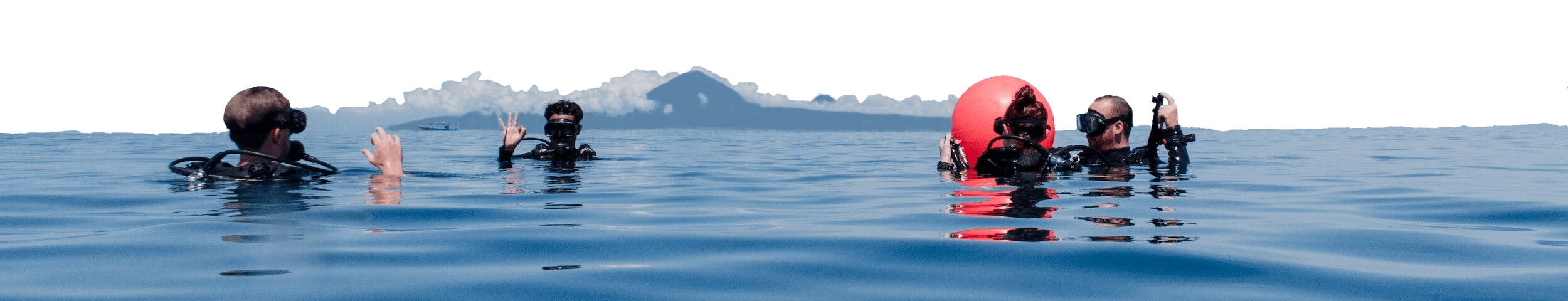 divers on surface